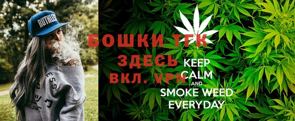 шишки Алзамай