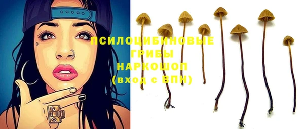 Альфа ПВП Алексин