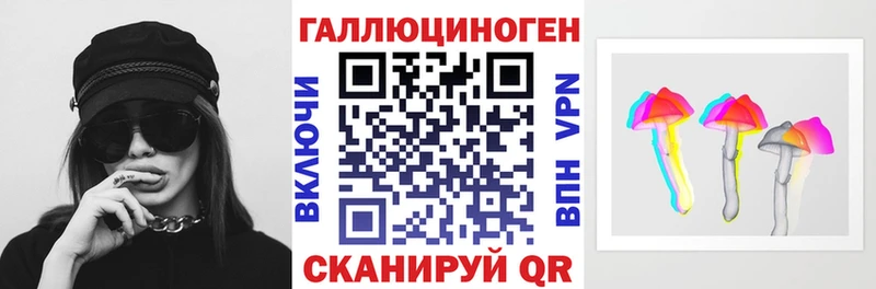 MEGA ТОР  Кирсанов  Галлюциногенные грибы Cubensis 