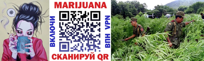 Каннабис SATIVA & INDICA сайты даркнета какой сайт Кирсанов
